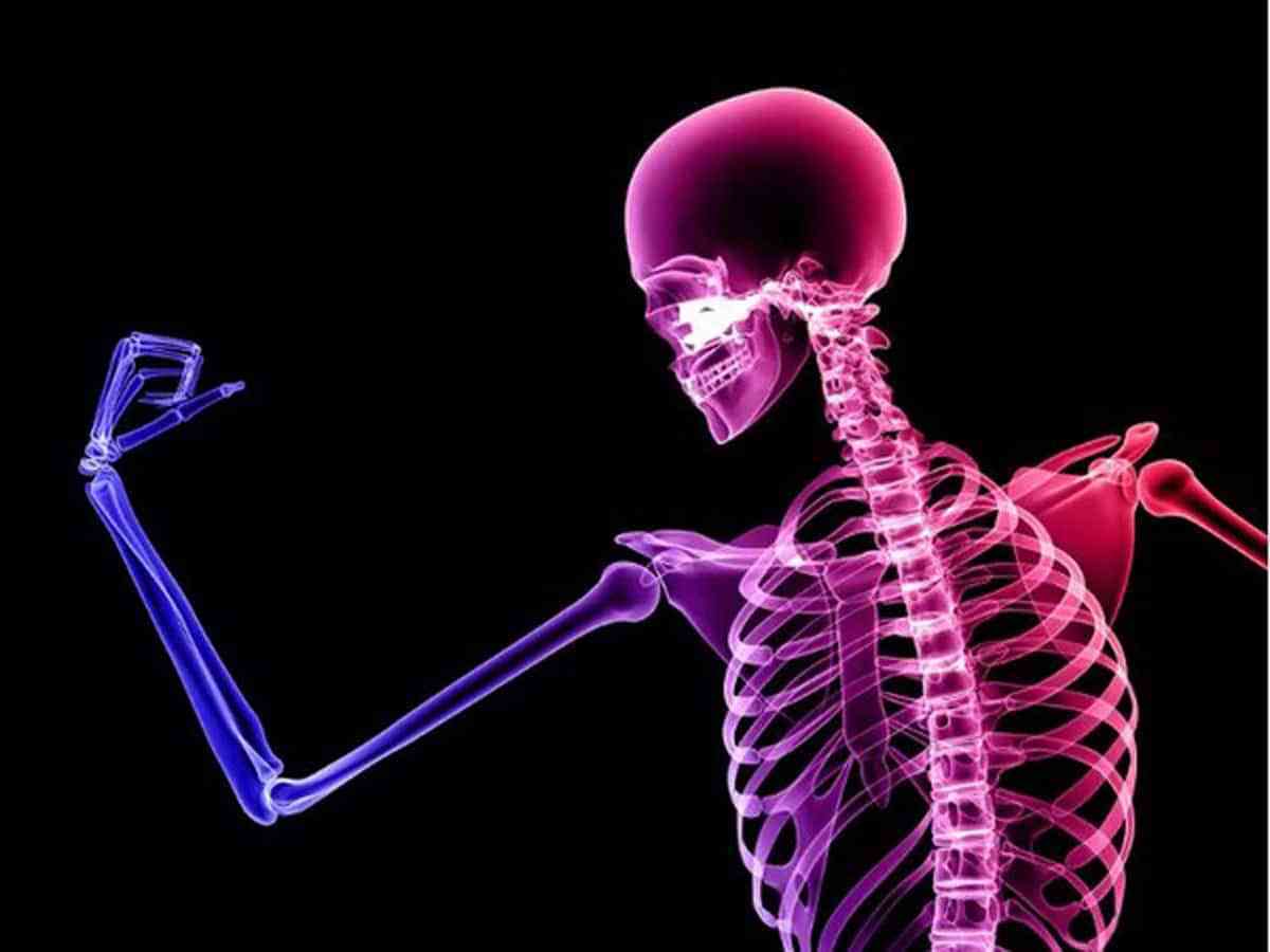 Healthy Bones for Dancers